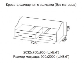 Кровать одинарная с ящиками (Без матраца 0,9*2,0) в Еманжелинске - emanzhelinsk.магазин96.com | фото