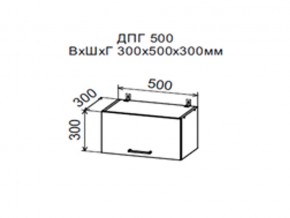 Шкаф верхний ДПГ500 горизонтальный в Еманжелинске - emanzhelinsk.магазин96.com | фото