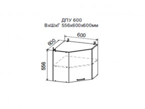 Шкаф верхний ДПУ600 угловой в Еманжелинске - emanzhelinsk.магазин96.com | фото
